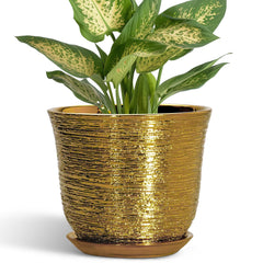 Front view of SUNPOTFOR 5.6 Inch Gold Ceramic Plant Pot