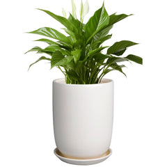 Front view of SUNPOTFOR 8 Inch Ceramic Plant Pot in white