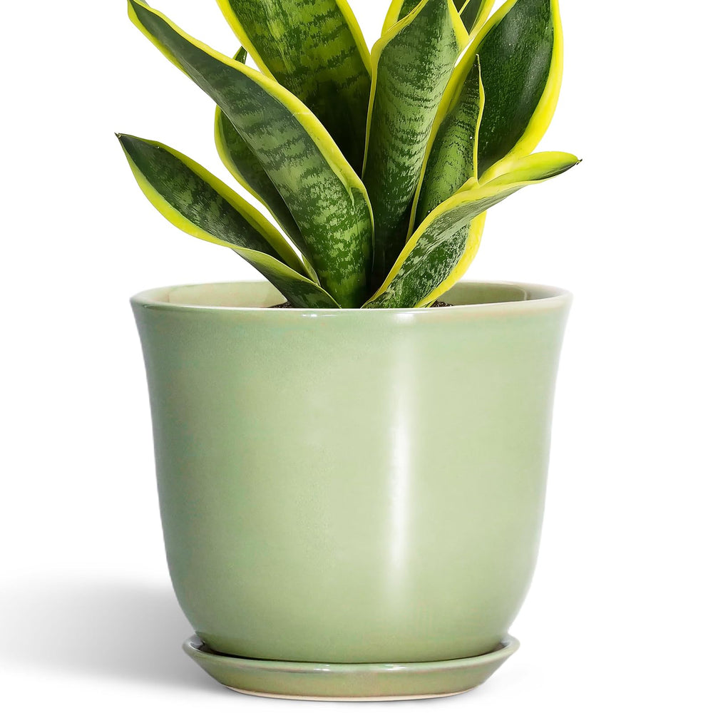 Front view of SUNPOTFOR 8-inch green ceramic flower pot