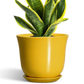 Front view of SUNPOTFOR 8-inch yellow ceramic plant pot