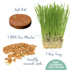 Front view of The Cat Ladies Cat Grass in a BPA-free container