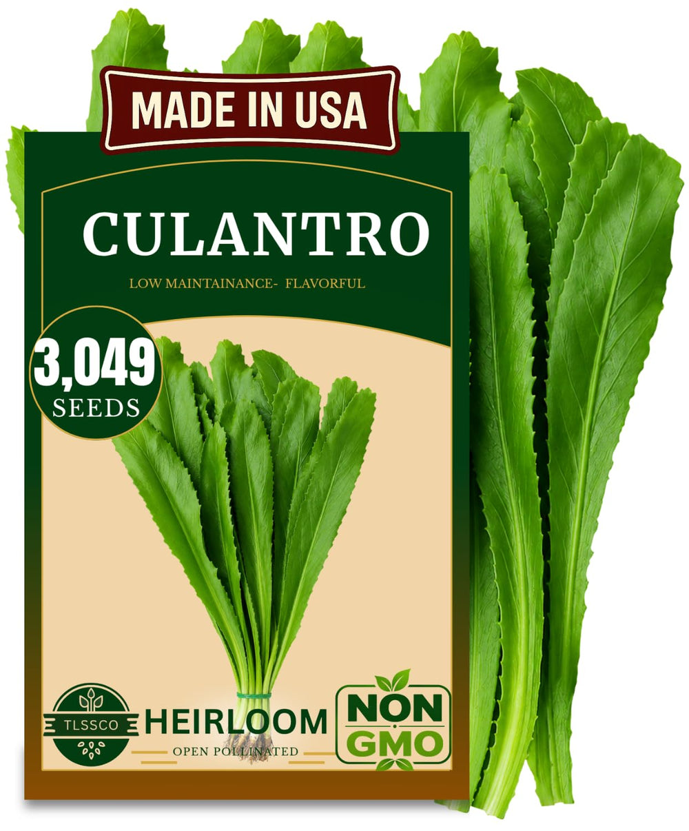 Front view of TLSSCO Culantro Seeds packet with vibrant design