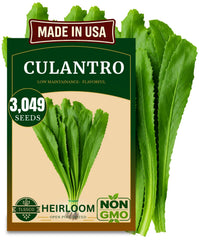 Front view of TLSSCO Culantro Seeds packet with vibrant design