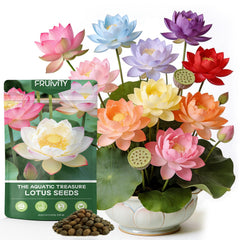 Fruivity 60 PCS Mixed Colour Bowl Lotus Seeds packaging front view