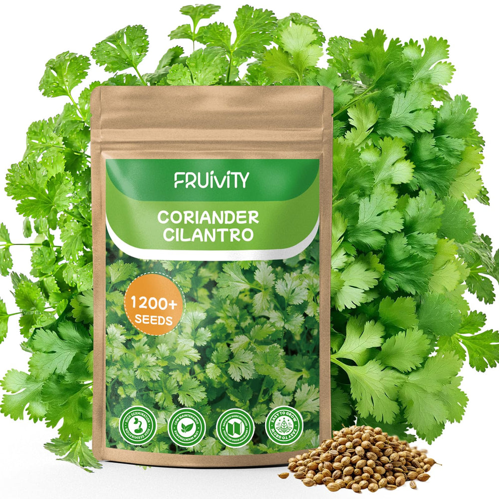Fruivity Cilantro Seeds pack front view with resealable bag