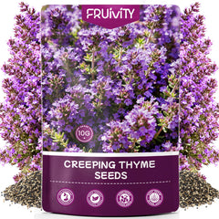 Fruivity Creeping Thyme Seeds package front view