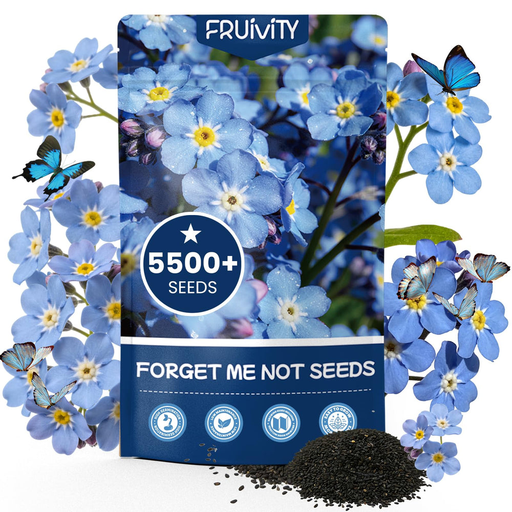 Fruivity Forget Me Not seed packet front view showcasing vibrant colours