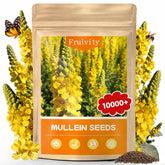 Fruivity Mullein Seeds package front view with yellow flower design