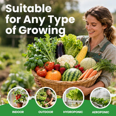 Fruivity vegetable seeds variety pack contents displayed
