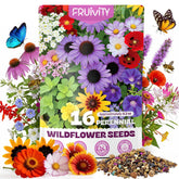 Fruivity Wildflower Seeds Bulk 200,000+ Seeds packaging front view