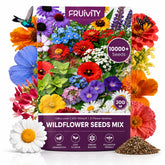 Fruivity wildflower seeds bulk pack with mixed colours