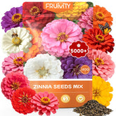 Fruivity Zinnia Seeds pack front view with colourful seed variety