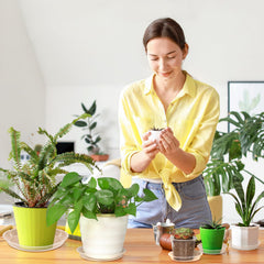 FUIJOL 14-inch clear plant saucer side view
