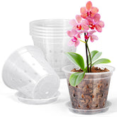 FUIJOL 4-inch clear orchid pot with matching saucer