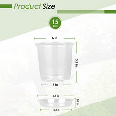 FUIJOL clear nursery pots arranged with plants