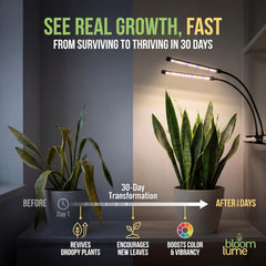 Full view of Bloom Lume LED Grow Light showing multiple light modes