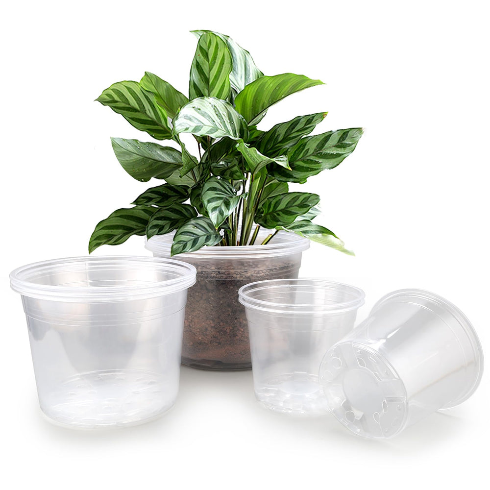 FUOAUYK clear nursery pots 7, 8, and 10 inch sizes front view