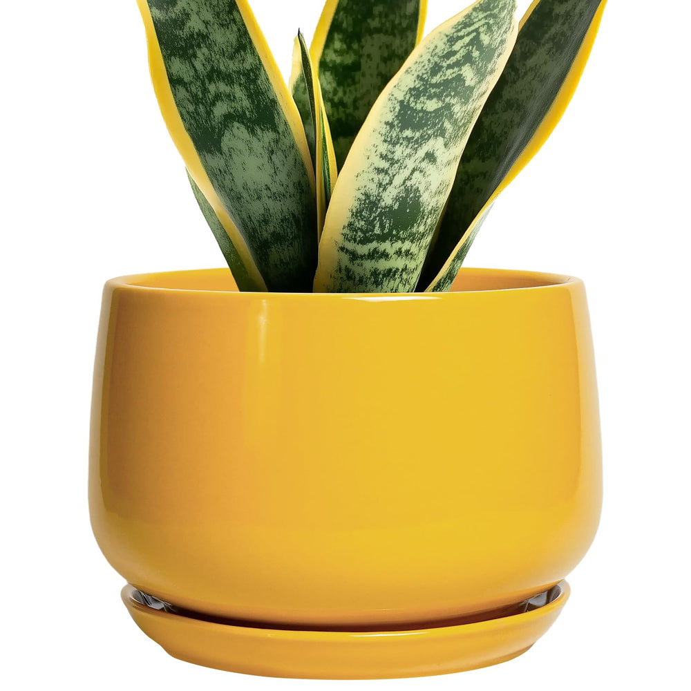 G EPGardening 7 inch yellow ceramic plant pot front view
