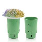 GAME Solar Light-Up Pool Chlorinator front view with succulent design