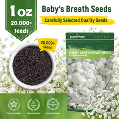 Garden filled with Baby's Breath flowers