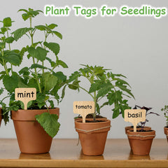 Garden scene featuring CJFocus Bamboo Plant Labels