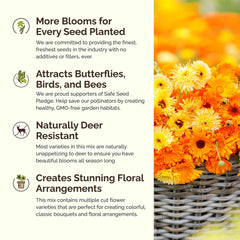 Garden scene with blooming wildflowers from Eden Brothers seeds