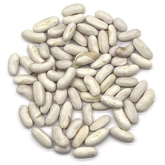Garden setting with Blue Lake Bush Beans growing