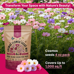 Gardener planting cosmos seeds in soil