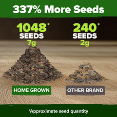 Gardener planting Zinnia Dahlia seeds in garden