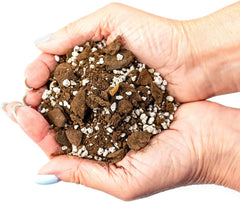 Gardenera Aloe Vera Potting Soil Mix in a garden setting