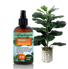 Gardenera Fiddle Leaf Fig Spray Fertilizer Mist 8oz bottle front view