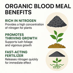 Gardenera Organic Blood Meal Fertilizer powder texture close-up