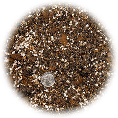 Gardenera Peace Lily Potting Mix in a small planter