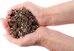 Gardenera Spider Plant Potting Soil Mix in a planting scenario