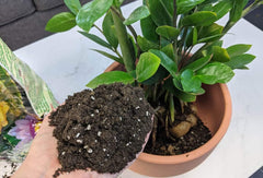 Gardenera ZZ Plant Potting Mix ingredients close-up