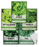 Gardeners Basics Lettuce Seeds pack with five varieties