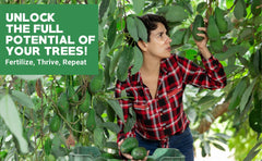 GARDENWISE 6-4-6 Fertilizer in use around citrus trees