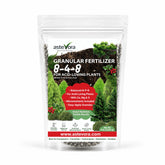GARDENWISE Evergreen Fertilizer 4 quarts bag front view