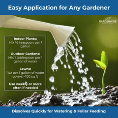 GARDENWISE fertilizer granules on a garden table