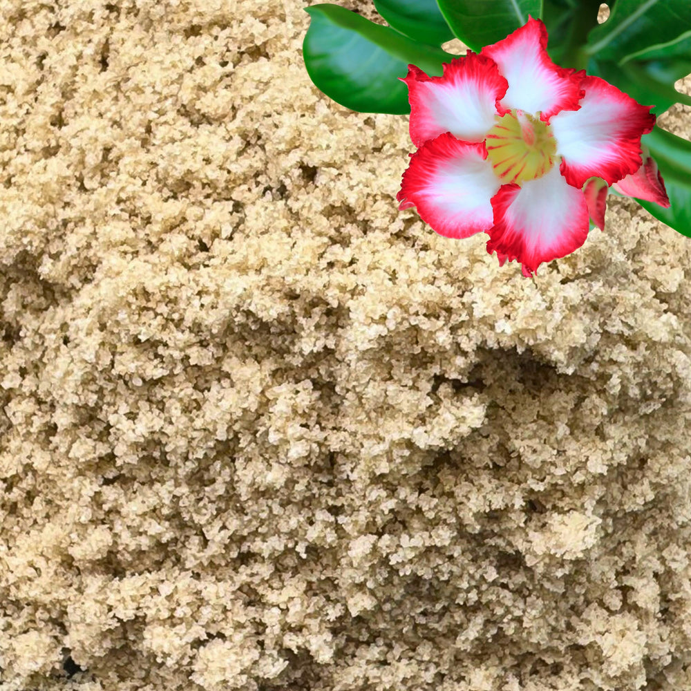 GARDENWISE Fine Sand for Plants 3 qt bag front view