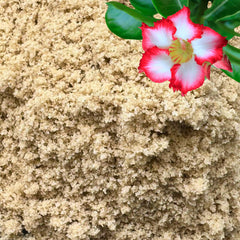 GARDENWISE Fine Sand for Plants 3 qt bag front view