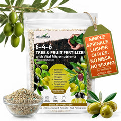 GARDENWISE Olive Tree Fertilizer front view, 240g granules