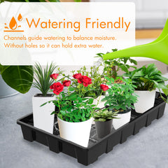 Gardzen seed tray filled with soil and seeds