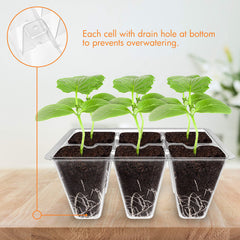 Gardzen seedling tray stacked with clear visibility
