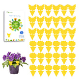 Garsum Fruit Fly Sticky Trap pack of 36, front view