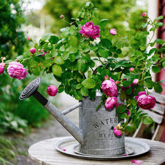 Garutom watering can with plants in background