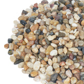 GASPRO 5lb Natural River Rocks mixed colours in a decorative setting