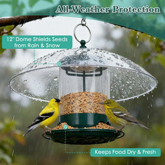Gbekery bird feeder hanging from a branch in the garden