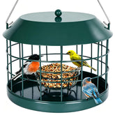 Gbekery Bluebird Feeder green model with glass bowl front view