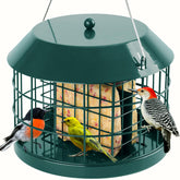 Gbekery Squirrel Proof Suet Bird Feeder, green metal, front view